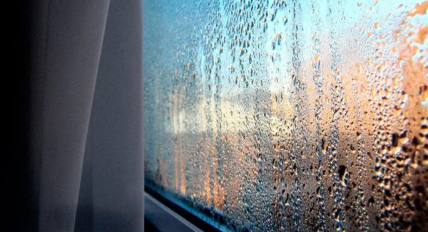 condensate windows