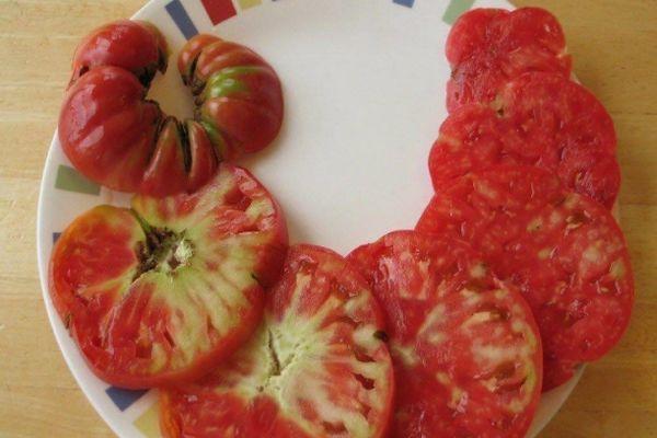 belie prozhilki na tomatah3